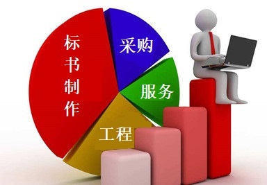 專業(yè)標書制作與采購代理服務(wù) 成都企業(yè)的得力助手